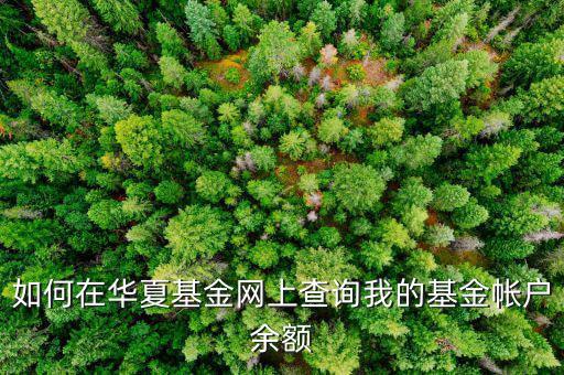 為什么郵政的華夏基金看不到余額，郵政網(wǎng)上支付查不出余額怎么回事