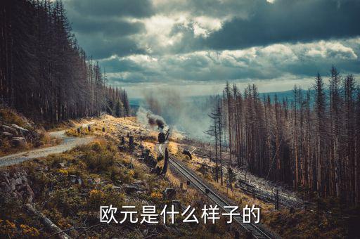 500面值似的歐元是什么樣的，500歐元是什么樣子的價值人民幣是多少大神們幫幫忙
