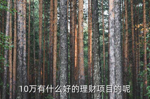 10萬(wàn)做什么理財(cái)好，10萬(wàn)有什么好的理財(cái)項(xiàng)目的呢