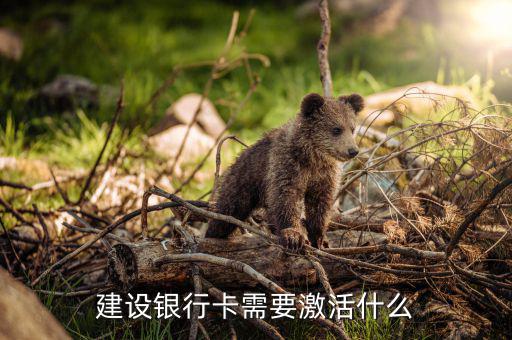 建行信用卡激活需要什么，激活信用卡需要準備什么東西身份證和戶口本
