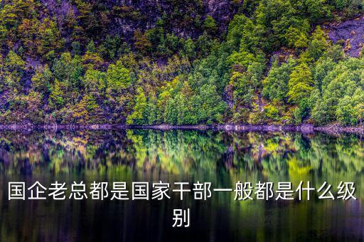 中交地產(chǎn)總經(jīng)理屬于什么級別干部，國企老總都是國家干部一般都是什么級別
