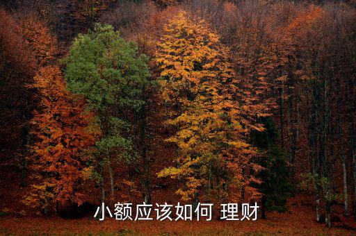 小額應該如何 理財