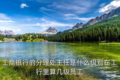 銀行分理處值班經(jīng)理是什么職位，工商銀行的分理處主任是什么級別在工行里算幾級員工