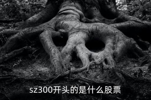 sz開頭的是什么股票，sz300開頭的是什么股票