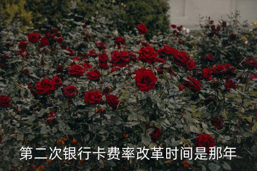 各銀行手續(xù)費改革什么時候開始，第二次銀行卡費率改革時間是那年