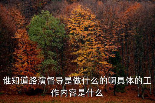 上證路演中心干什么的，誰知道路演督導(dǎo)是做什么的啊具體的工作內(nèi)容是什么
