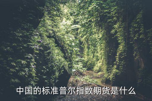 中國的標準普爾指數(shù)期貨是什么