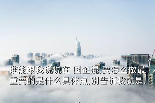 誰能跟我說說在 國企混,要怎么做最重要的是什么具體點(diǎn),別告訴我就是...