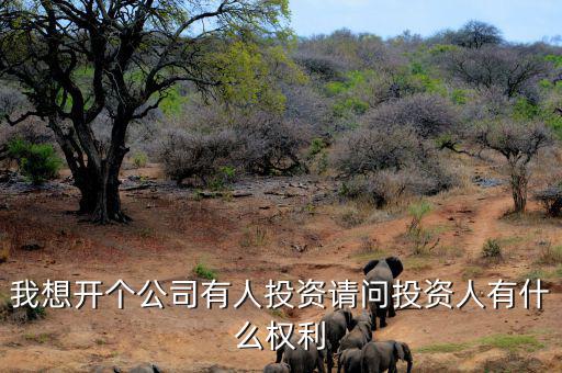 投資人最核心的優(yōu)先權(quán)是什么，投資人最關(guān)心哪三大核心問題