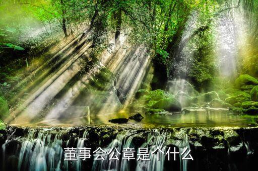 什么是董事會印章，完美國際魔方董事會印章有什么用