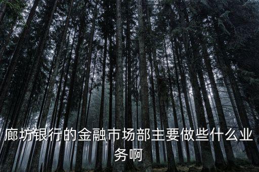 齊飛金融主營什么業(yè)務(wù)，堅固金融都有什么業(yè)務(wù)實力怎么樣