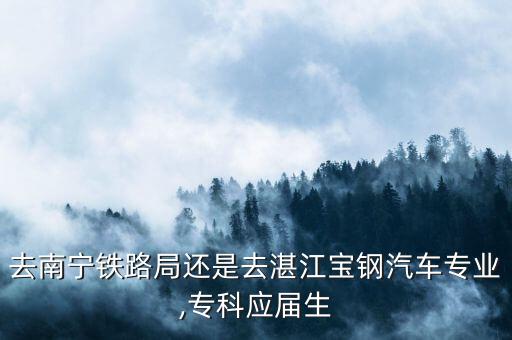去南寧鐵路局還是去湛江寶鋼汽車專業(yè),?？茟?yīng)屆生