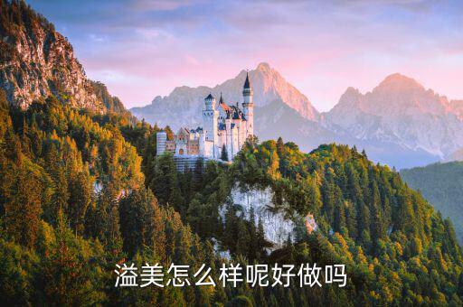 溢美金融做什么的，哪家保理公司的做的好