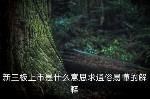 什么是新三板上市，新三板上市是什么意思求通俗易懂的解釋