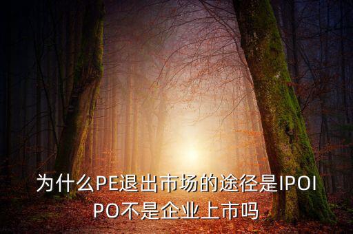 pe為什么要退出，為什么PE退出市場(chǎng)的途徑是IPOIPO不是企業(yè)上市嗎