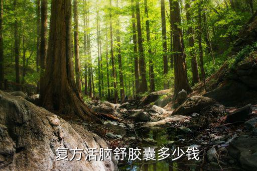 江中心腦舒什么價(jià)位，重慶哪里買復(fù)方活腦舒膠囊