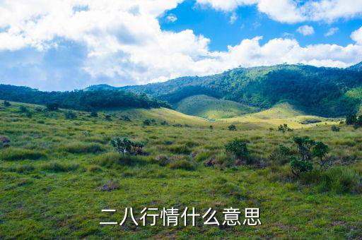什么是288指數(shù)，股票二八現(xiàn)象是什么意思