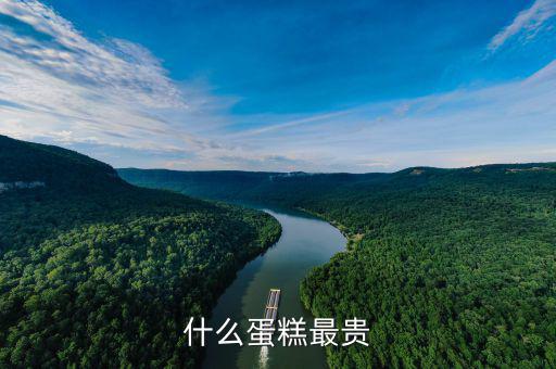 什么牌子的生日蛋糕最貴，生日蛋糕都有哪些品牌稍微高端一些的價錢和品牌