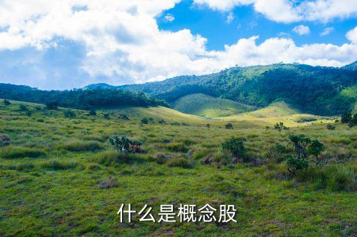 什么叫概念股，什么是概念股