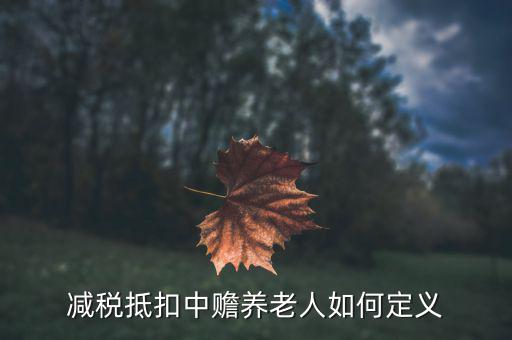 什么是減稅養(yǎng)老，減稅抵扣中贍養(yǎng)老人如何定義