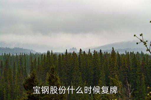 寶鋼什么時候復(fù)牌，武鋼和寶鋼什么時候完成重組