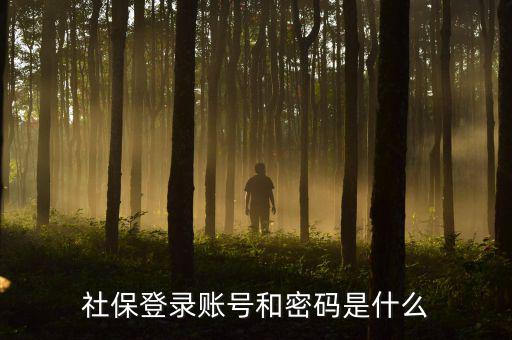 社保查詢個人賬戶密碼是什么，社保登錄賬號和密碼是什么