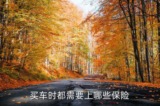 買車時(shí)都需要上哪些保險(xiǎn)