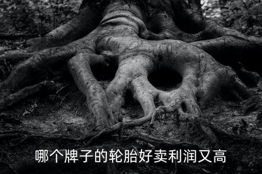 什么輪胎利潤(rùn)大，哪個(gè)牌子的輪胎好賣(mài)利潤(rùn)又高