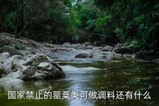 國家違禁香料有什么，國家禁止的罌粟類可做調(diào)料還有什么