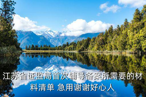 輔導(dǎo)備案登記受理是什么階段，我想問(wèn)一下辦一般納稅人申請(qǐng)后我們的輔導(dǎo)期是當(dāng)月 15小