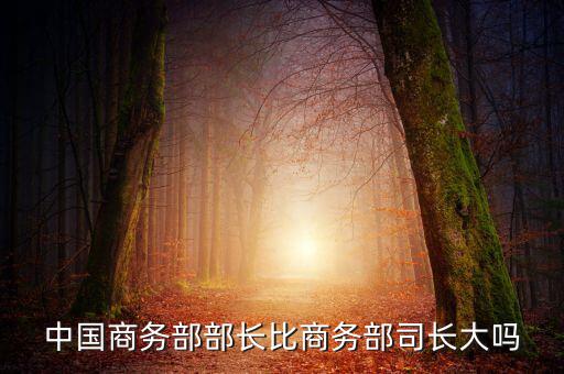 商務(wù)部部長(zhǎng)什么級(jí)別，商務(wù)部部長(zhǎng)多大的官