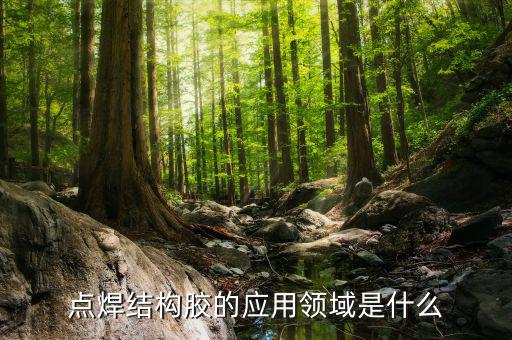 點焊結(jié)構(gòu)膠的應(yīng)用領(lǐng)域是什么
