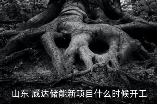  山東 威達(dá)儲(chǔ)能新項(xiàng)目什么時(shí)候開(kāi)工