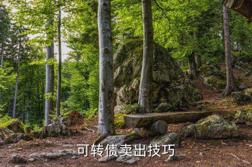 怎么具體買賣可轉讓債券,可轉債快速賣出技巧如下