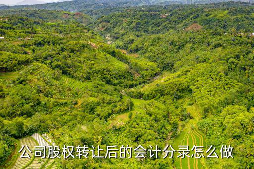 拆股怎么記賬,股東變更如何進行會計分錄(1)