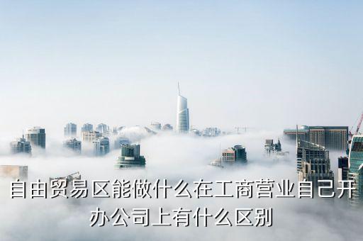 自貿(mào)區(qū)有什么生意做，自貿(mào)區(qū)可以做做小生意嗎