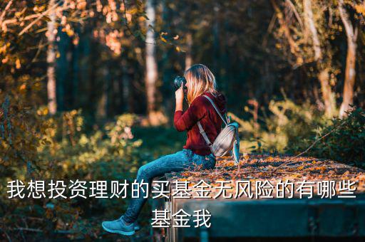 買什么基金是沒有風(fēng)險(xiǎn)，什么樣的基金沒有太大的風(fēng)險(xiǎn)