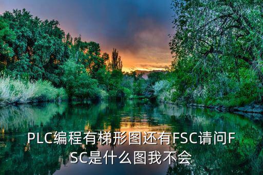PLC編程有梯形圖還有FSC請(qǐng)問FSC是什么圖我不會(huì)