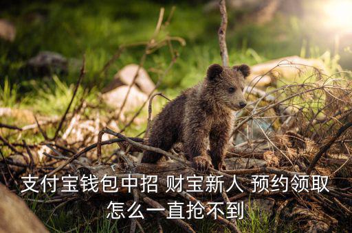 支付寶錢包中招 財寶新人 預約領(lǐng)取怎么一直搶不到