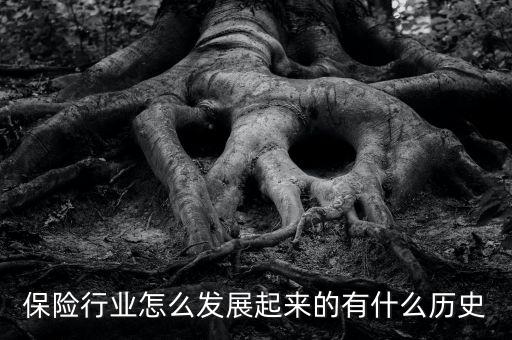 保險(xiǎn)行業(yè)怎么發(fā)展起來(lái)的有什么歷史