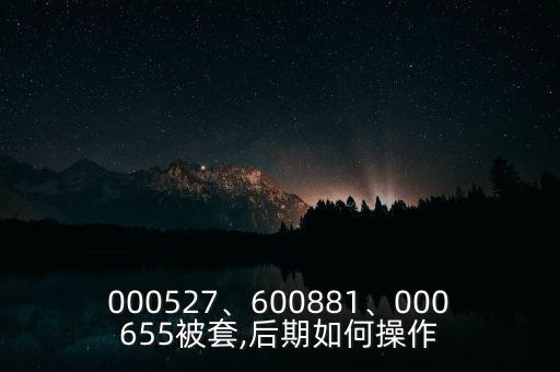 000527、600881、000655被套,后期如何操作