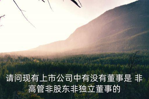 什么是非獨(dú)立董事，什么叫執(zhí)行董事非執(zhí)行董事和獨(dú)立非執(zhí)行董事