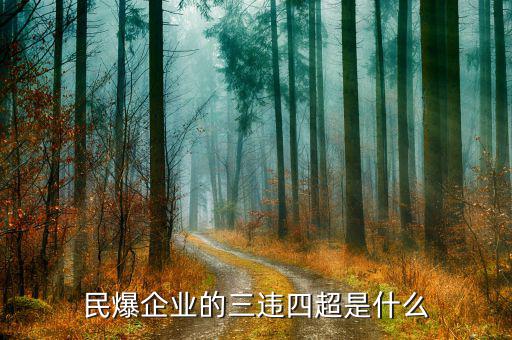 民爆企業(yè)的精髓是什么，民爆公司是甚么性質(zhì)單位