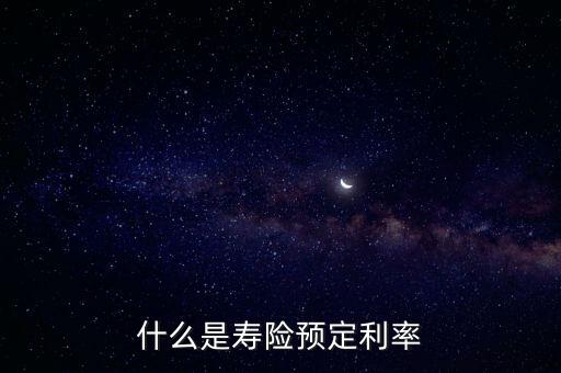 什么是壽險預(yù)定利率