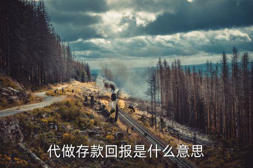 銀行存款回報(bào)什么意思，代做存款回報(bào)是什么意思