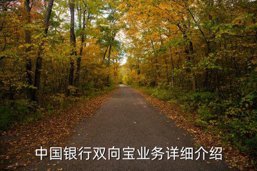 中行雙向?qū)毷鞘裁矗袊?guó)銀行雙向?qū)殬I(yè)務(wù)詳細(xì)介紹