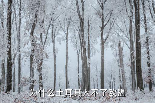 為什么土耳其無(wú)法加入歐盟，為什么土耳其入不了歐盟