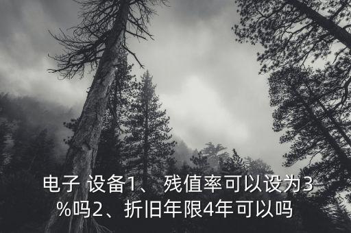  電子 設(shè)備1、 殘值率可以設(shè)為3%嗎2、折舊年限4年可以嗎