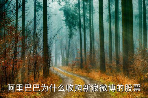 新浪微博為什么在盈利后才上市，新浪微博為何上市
