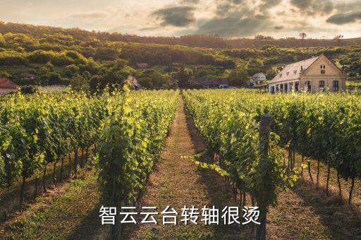 深圳吉陽(yáng)智云怎么樣,云南云智科技有限公司注冊(cè)資本50萬元